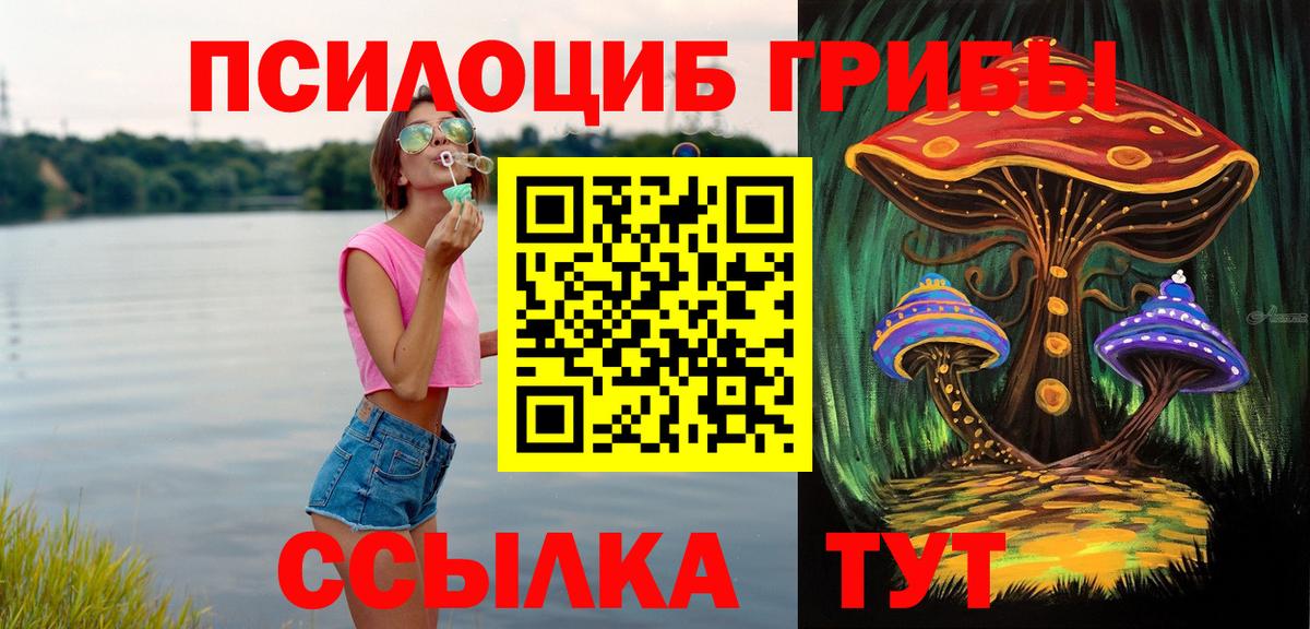 Бердск  Псилоцибиновые грибы Psilocybe  Вход с VPN 
