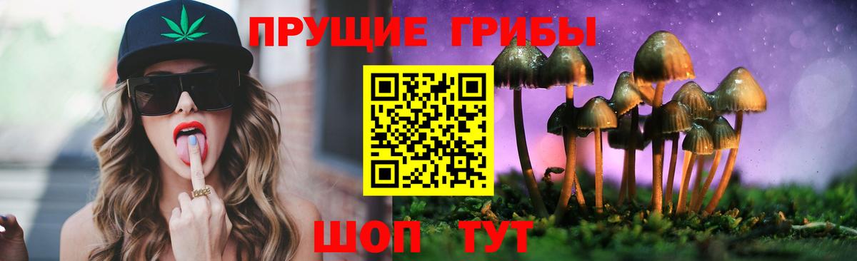 Псилоцибиновые грибы прущие грибы Бердск